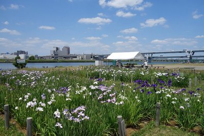 🏞️ 호리키리 수변 공원 (호리키리 워터사이드 파크) 이미지 2